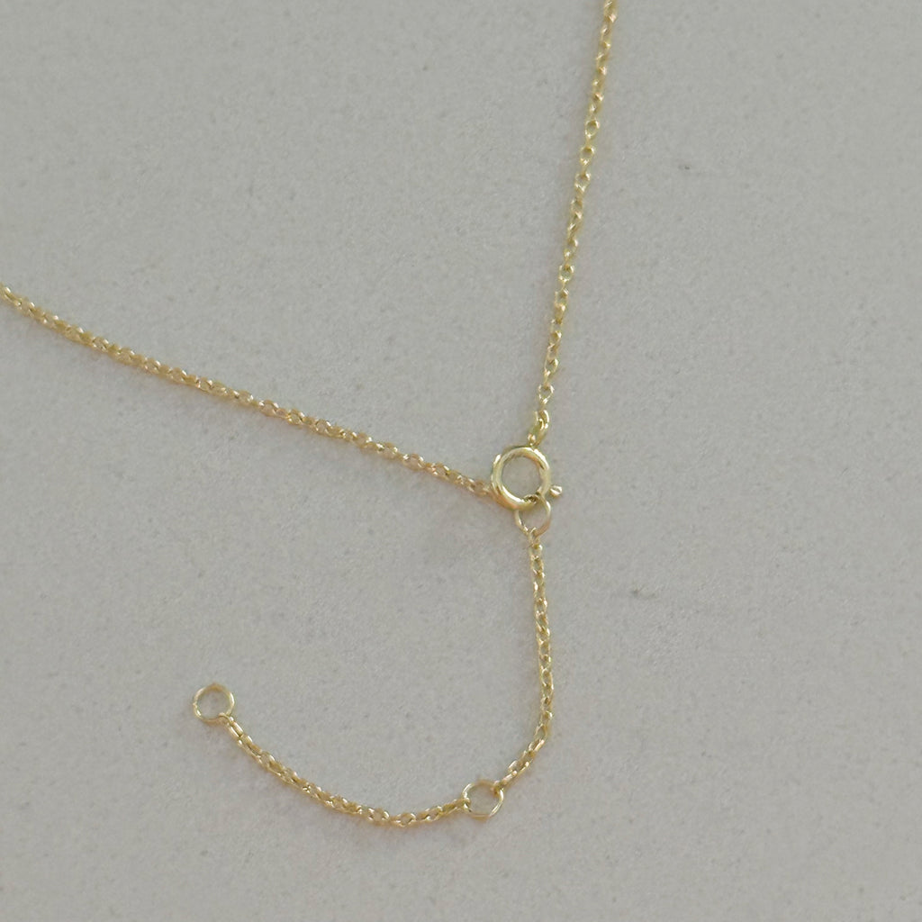 Sterling Silver CZ Israel Map Necklace - Gold and Silver