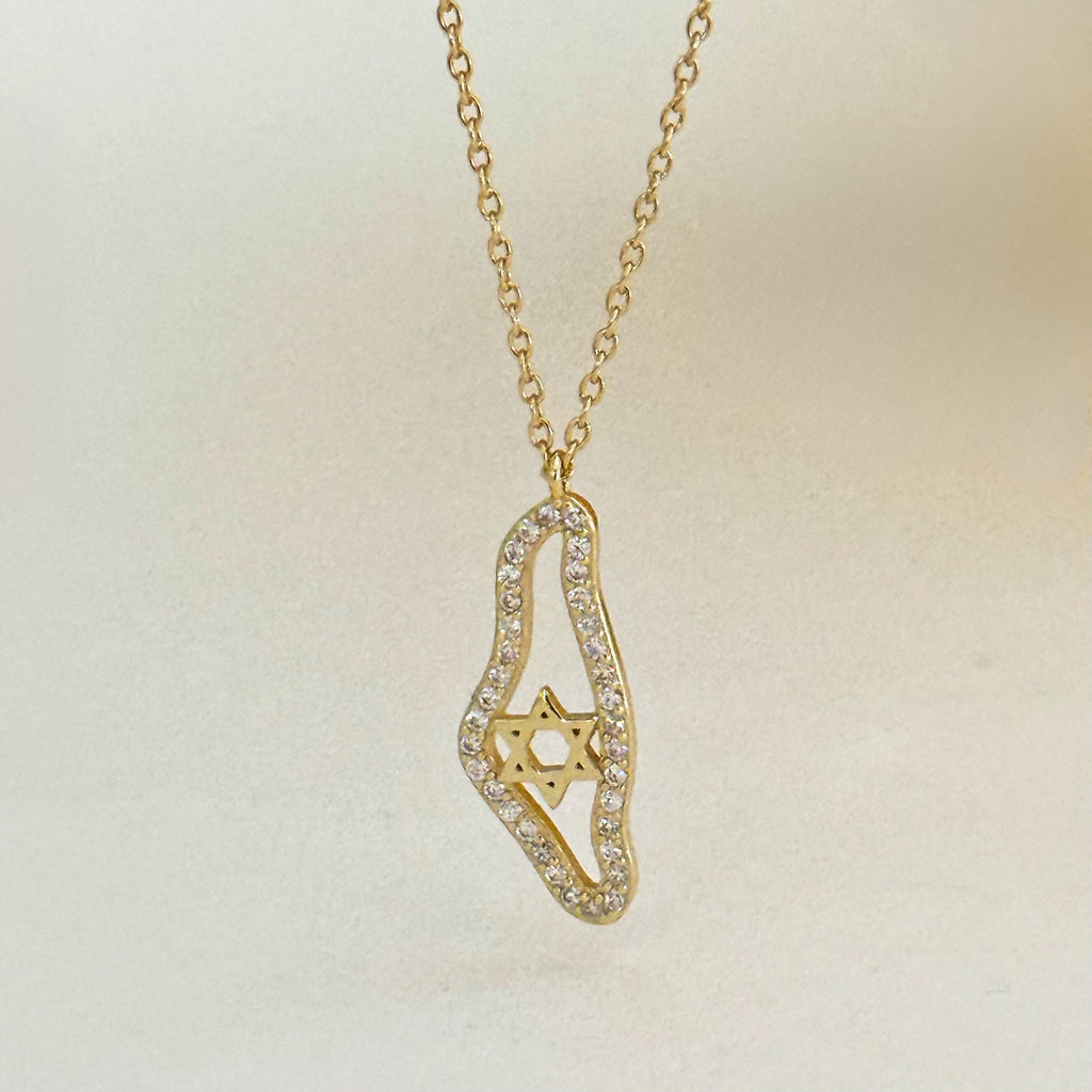 Sterling Silver CZ Israel Map Necklace - Gold and Silver