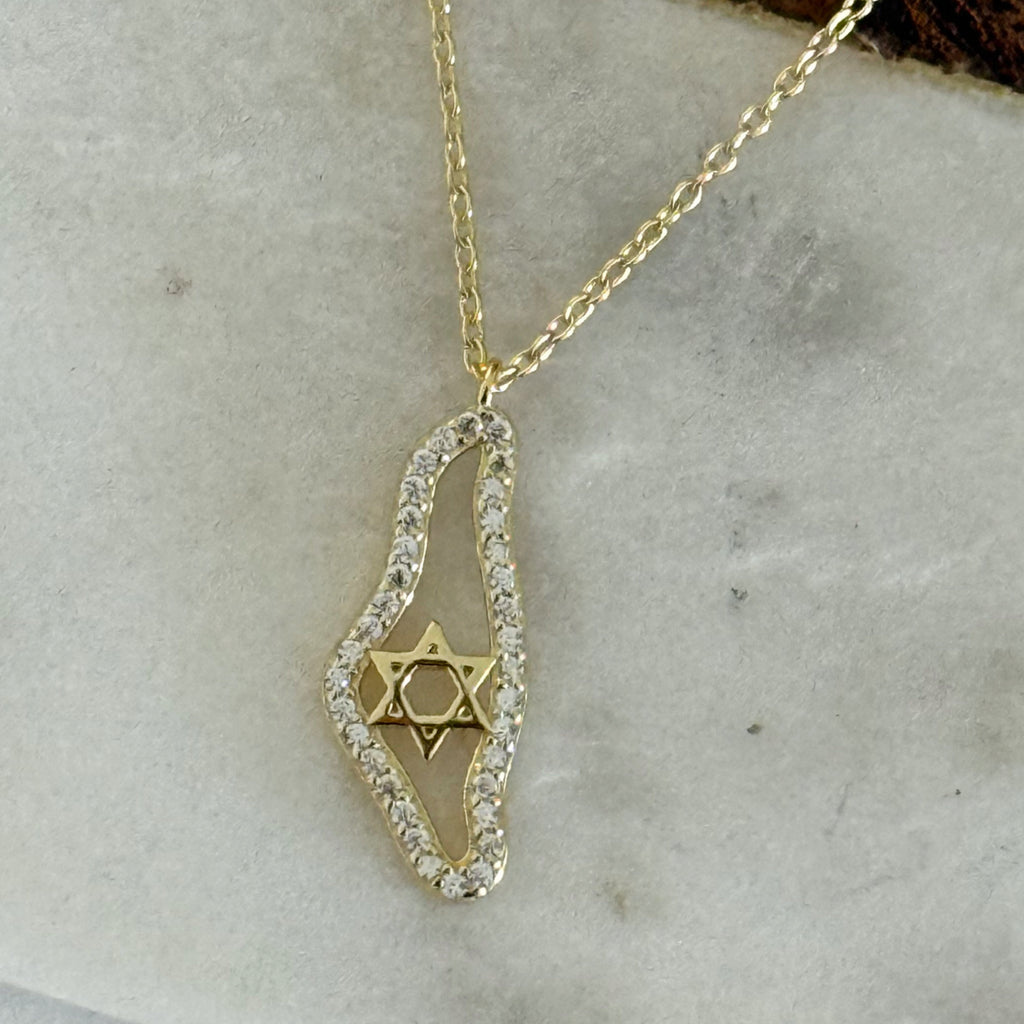 Sterling Silver CZ Israel Map Necklace - Gold and Silver