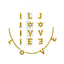 LOVE Necklace with CZ Star of David - Gold