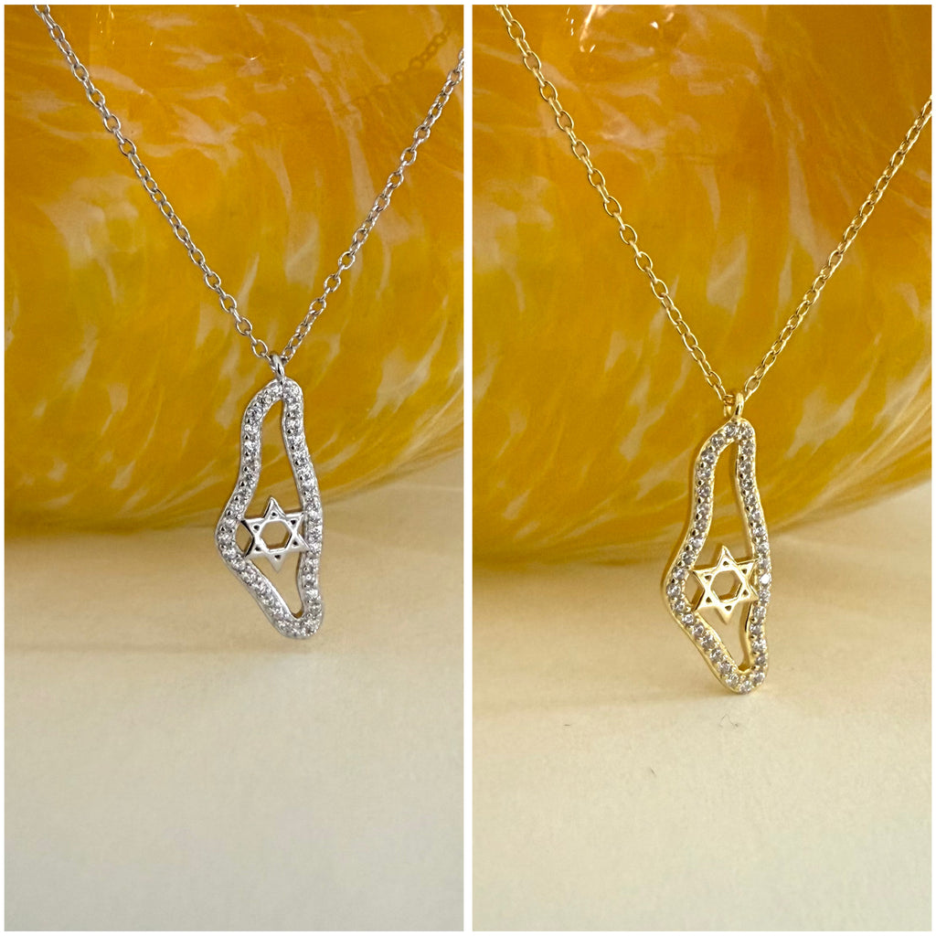 Sterling Silver CZ Israel Map Necklace - Gold and Silver