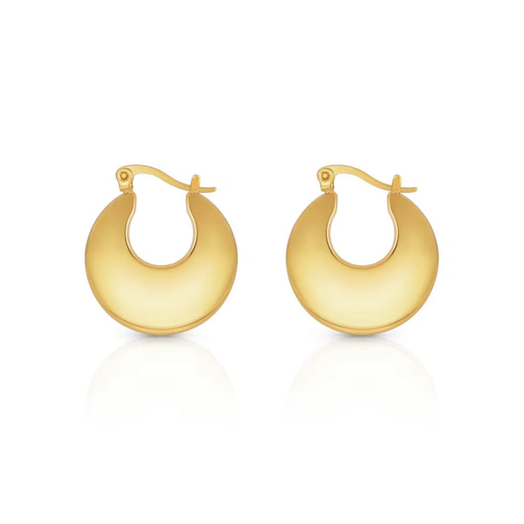 Stainless Steel Luna Hoop Earrings - Gold and Silver
