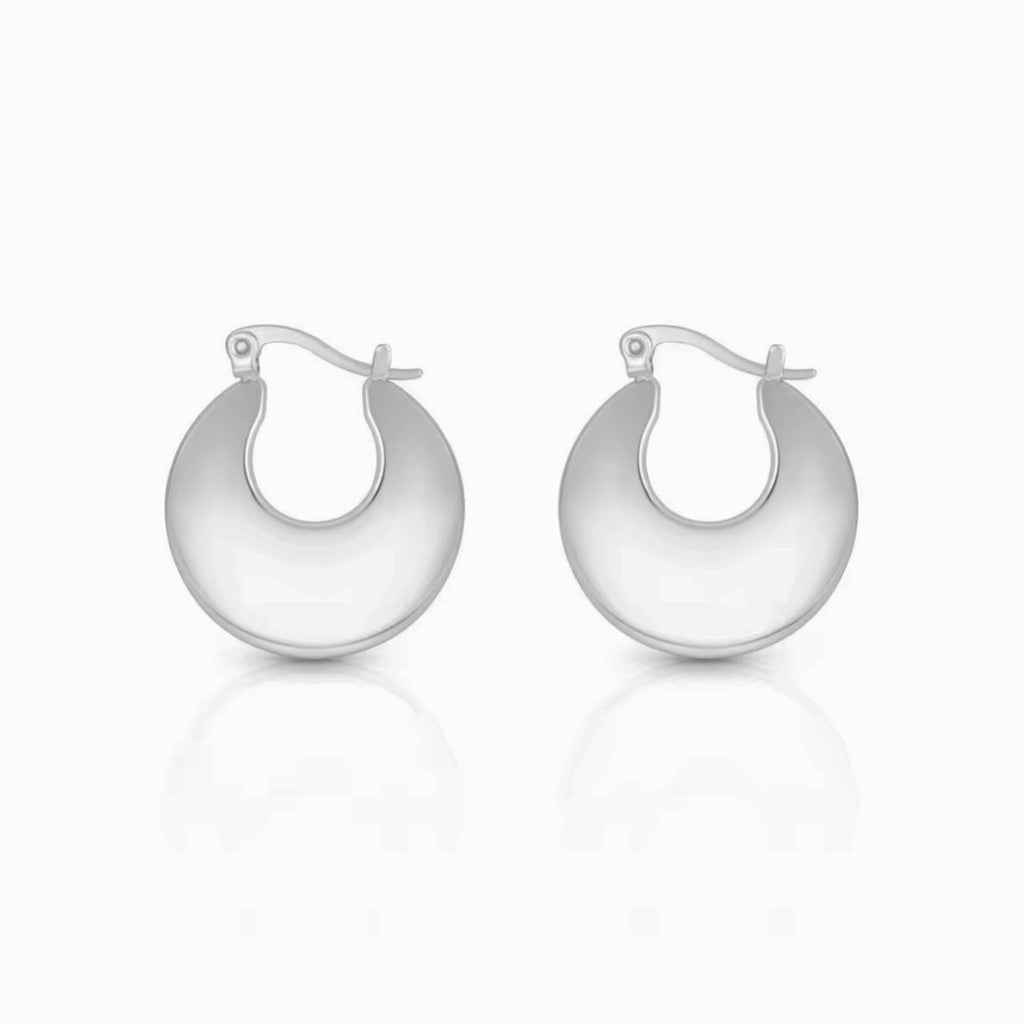 Stainless Steel Luna Hoop Earrings - Gold and Silver
